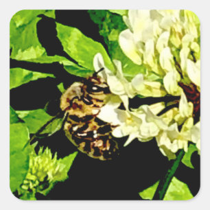 Bumble Bee Stickers
