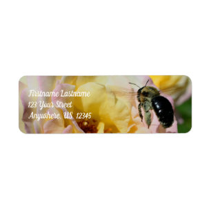 Bumble Bee Volant Dans Rose Rose Adresse