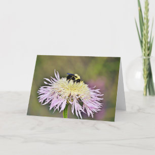 Bumble Bee Wildflower Scripture Card John 1:16