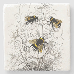Bumble Bees on Flowers Stone Coaster