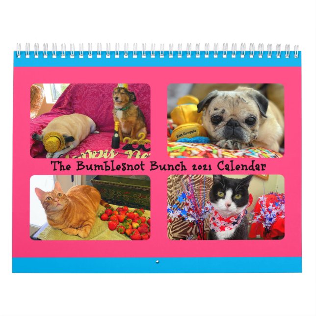 Bumble Bunch 2021 Calendar (Cover)