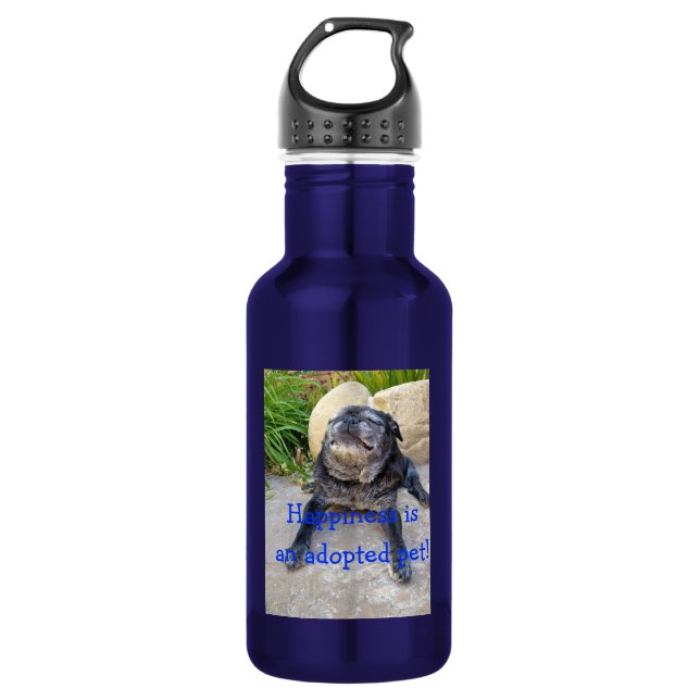Bumble Water Bottle: Happiness is... 532 Ml Water Bottle (Front)