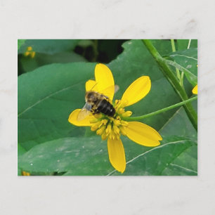 Bumblebebe personnalisé sur une carte postale de F