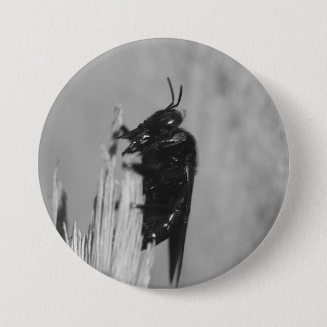 Bumblebee 3 Inch Round Button (Front)