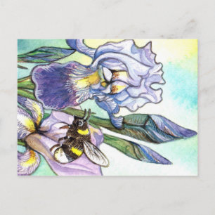 Bumblebee And Irises Postcard