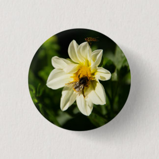 Bumblebee and white dahlia photo 1 inch round button