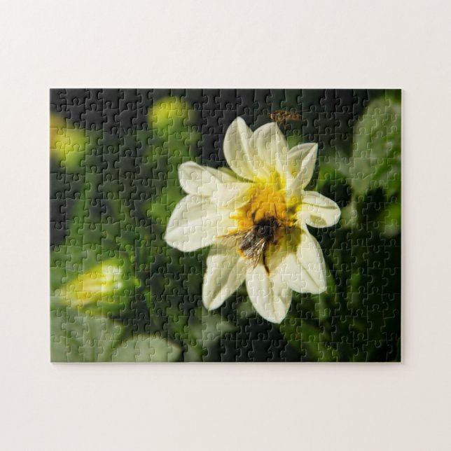 Bumblebee and white dahlia photo jigsaw puzzle (Horizontal)