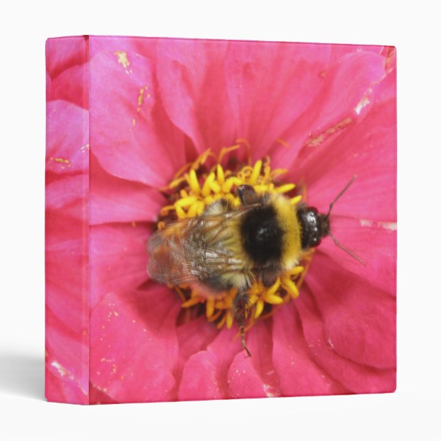 Bumblebee Avery Classeur (Devant/Côté)