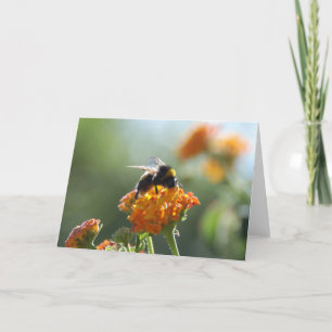 BUMBLEBEE Blank Note Card