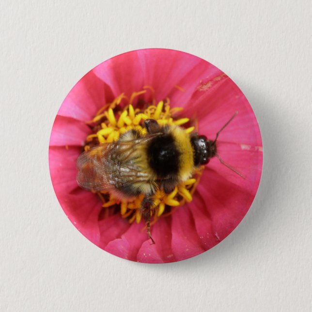 Bumblebee Button (Front)
