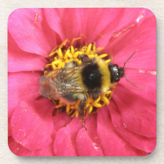 Bumblebee Cork Coaster (Front)