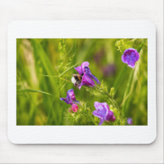 Bumblebee in Bloom  Mouse Pad