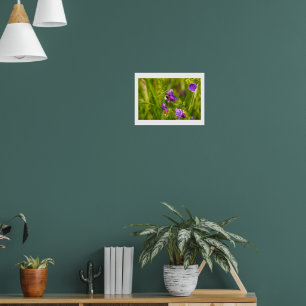Bumblebee in Bloom Poster