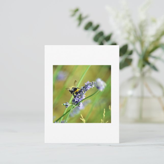 Bumblebee & Lavender Postcard (Standing Front)
