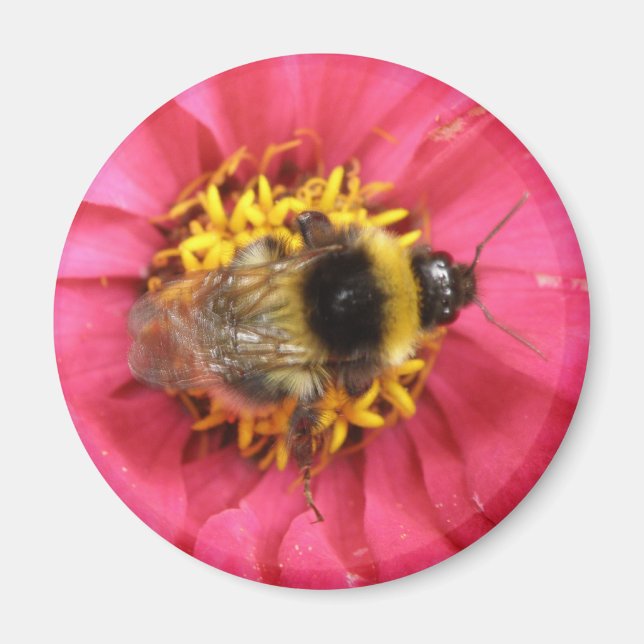 Bumblebee Magnet (Front)