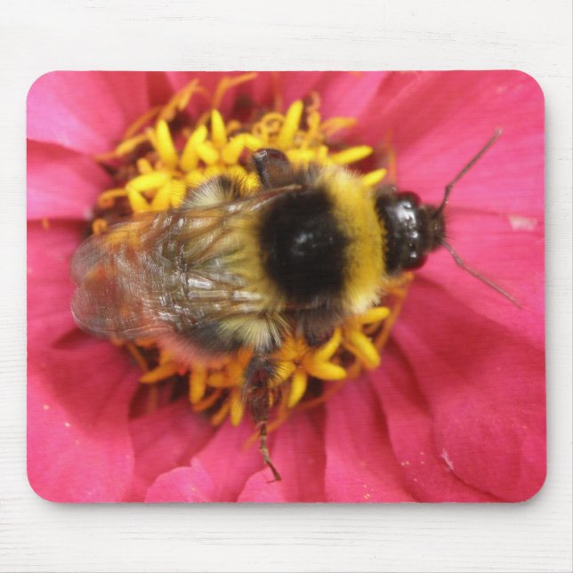 Bumblebee Mousepad (Front)