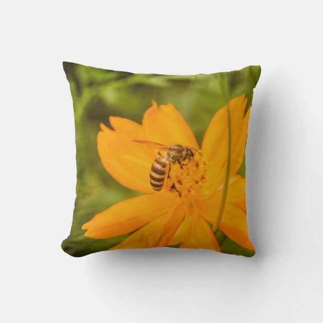 Bumblebee on a Sulphur Cosmos Throw Pillow (Front)