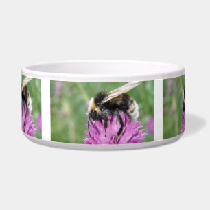 Bumblebee on a Thistle Dog Bowl