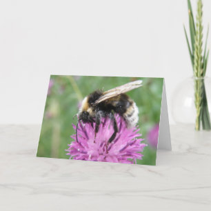 Bumblebee on a Thistle Greeting Card