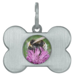 Bumblebee on a Thistle Pet Tag
