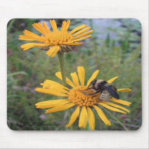 Bumblebee on Balduina Mousepad