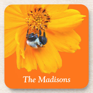 Bumblebee on Cosmos Coaster