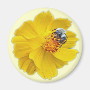 Bumblebee on Cosmos Magnet