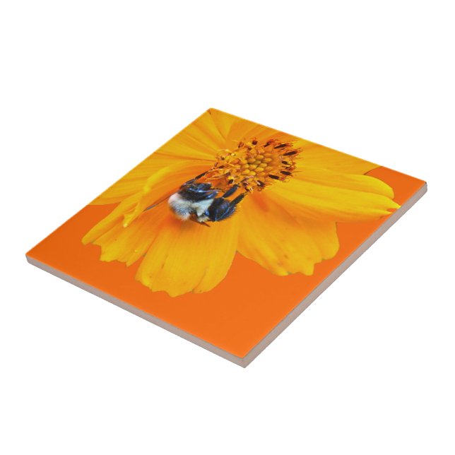 Bumblebee on Cosmos Tile (Side)