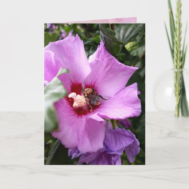Bumblebee on Hibiscus Flower Card (Front)
