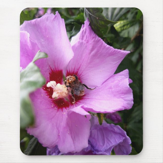 Bumblebee on Hibiscus Flower Mouse Pad (Front)