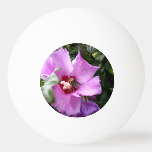 Bumblebee on Hibiscus Flower Ping Pong Ball