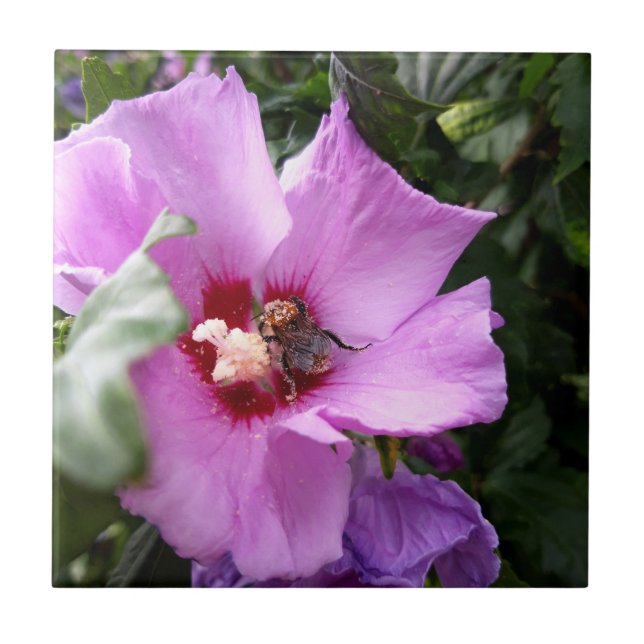 Bumblebee on Hibiscus Flower Tile (Front)