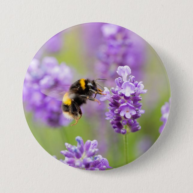 Bumblebee On Lavender  3 Inch Round Button (Front)