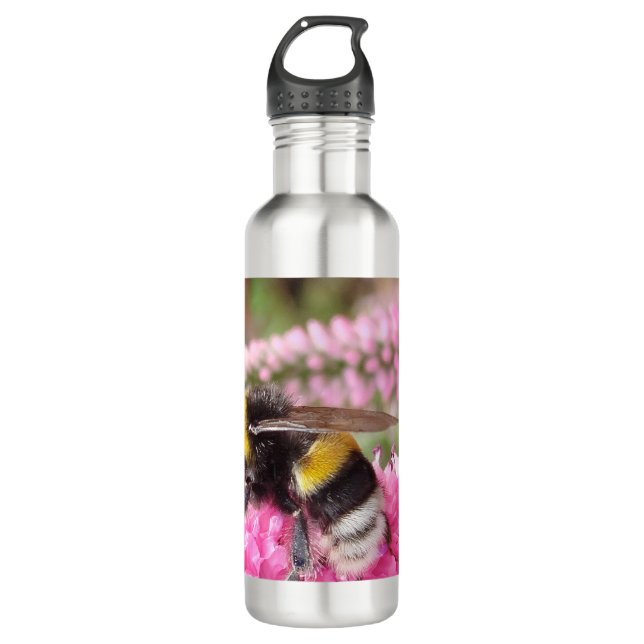 Bumblebee on Pink Flowers  710 Ml Water Bottle (Front)