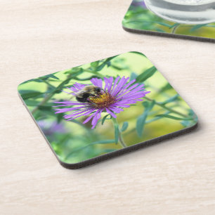 Bumblebee on Purple Daisy Coaster