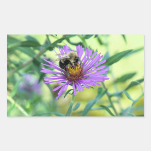 Bumblebee on Purple Daisy Sticker