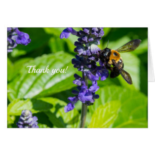 Bumblebee On Salvia Thank You Card