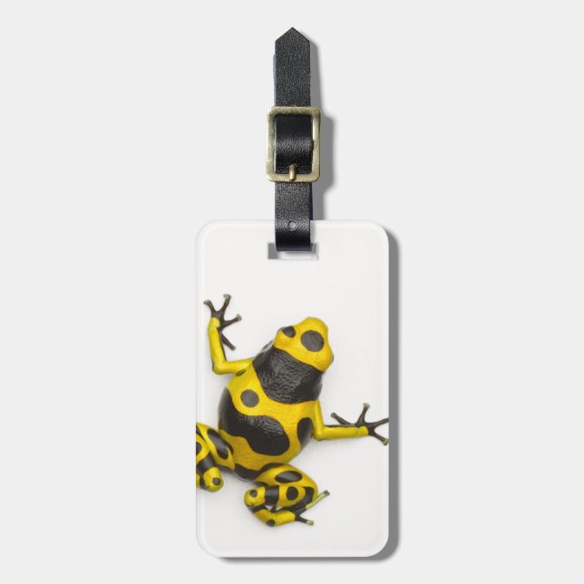 Bumblebee Poison Dart Frog Luggage Tag (Front Vertical)