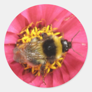 Bumblebee Sticker
