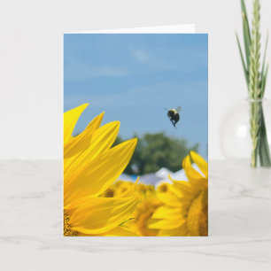 Bumblebee Sunflower Photography Blank Card