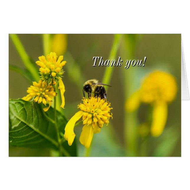 Bumblebee Thank You Card (Front Horizontal)
