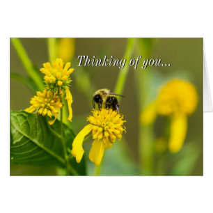 Bumblebee Thinking Of You Card