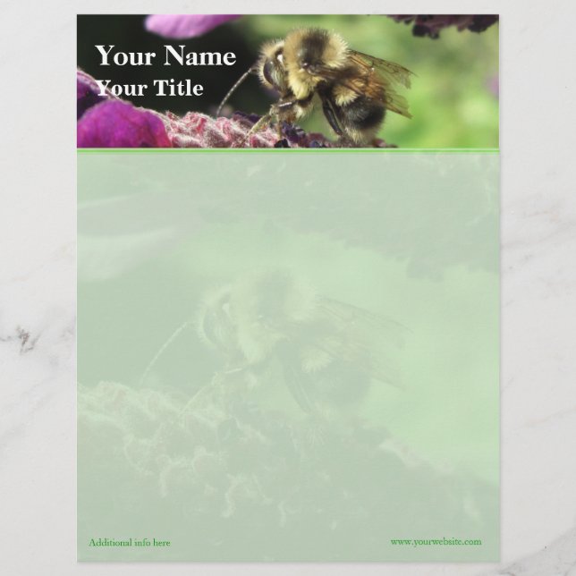 Bumblebee Top Border Letterhead (Front)