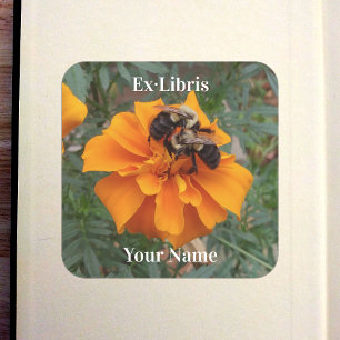 Bumblebees on Marigold Bookplate Square Sticker