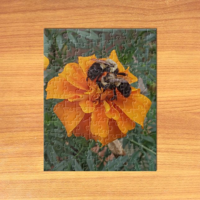 Bumblebees on Marigold Flower Jigsaw Puzzle (Bumblebees on Marigold Flower Jigsaw Puzzle on Table)