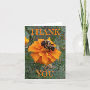 Bumblebees on Marigold Flower Thank You Card