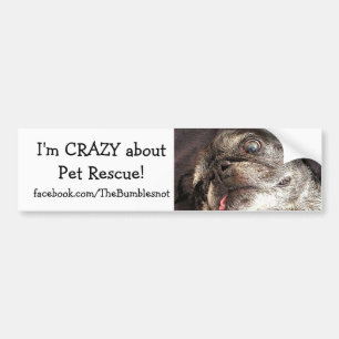 Bumblesnot bumper sticker: Crazy about Pet Rescue Sticker