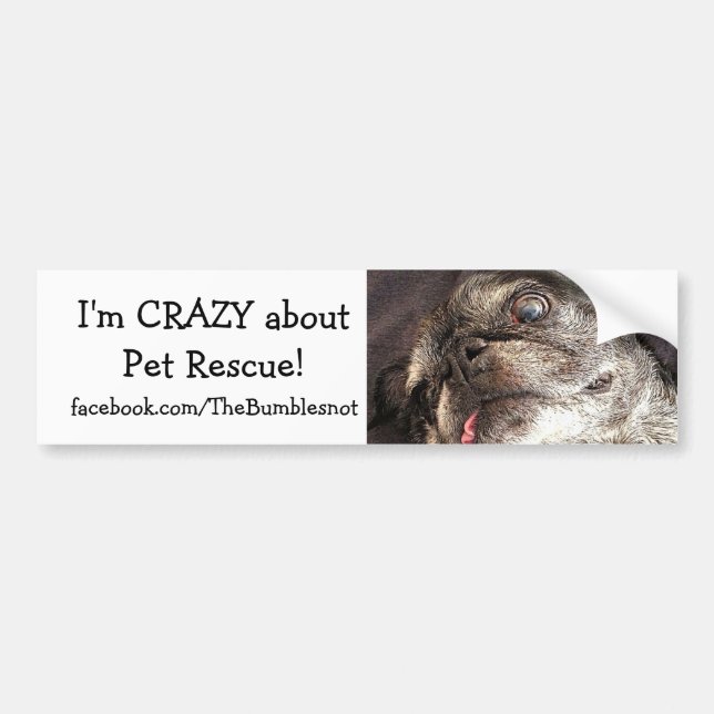 Bumblesnot bumper sticker: Crazy about Pet Rescue Sticker (Front)