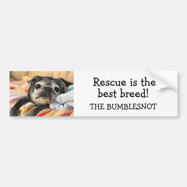 Bumblesnot bumper sticker: Rescue is best breed! Bumper Sticker (Front)
