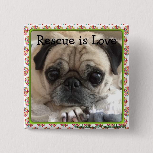 Bumblesnot button: Itsy Pug/Rescue is Love 2 Inch Square Button (Front)